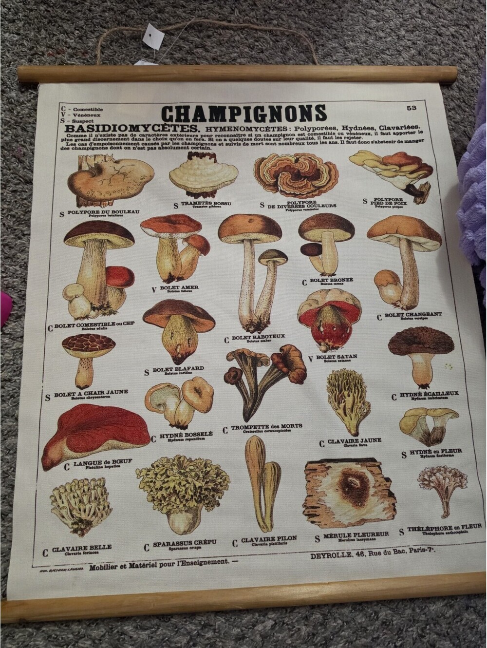Vintage French Mushroom Fabric Wall Scroll Educational Poster